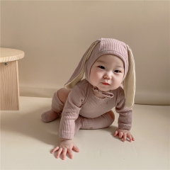 Ins infant baby spring autumn long rabbit ears cartoon romper socks hats wholesale