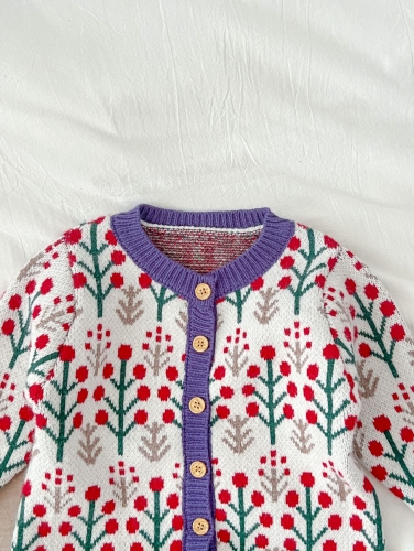2023 New Autumn Infant Baby Girls Painting Long Sleeve Jumpsuit Wholesale