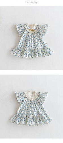 2025 Summer Infant Baby Kids Girls Short Sleeves Butterfly-bow Embroidered Pattern Floral Dress Wholesale