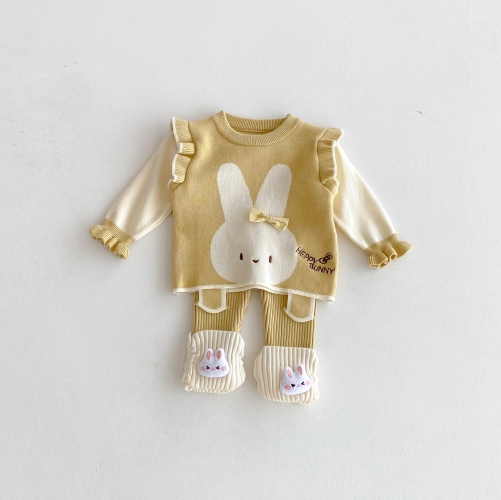 2025 Autumn and Winter Infant Baby Girls Butterfly-bows Decorated Rabbit Pattern Long Sleeves Sweater With Pants Sets Wholesale