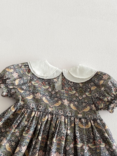 Summer Infant Baby Girls Short Sleeves Peter Pan Collar Vintage Floral One Piece Dress Wholesale
